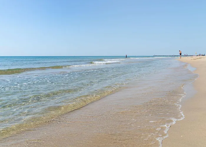 Διαμέρισμα 2 Pieces Avec Terrasse Et Parking - Fr-1-387-218 Marseillan (Herault)